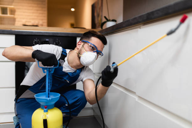 Best Affordable Pest Control Services  in Bentonville, AR