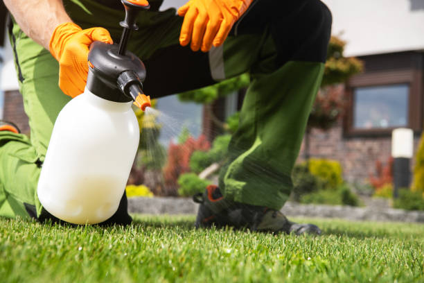 Best Bed Bug Extermination  in Bentonville, AR