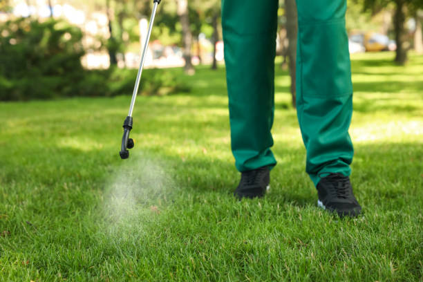 Best Ant Control Services  in Bentonville, AR