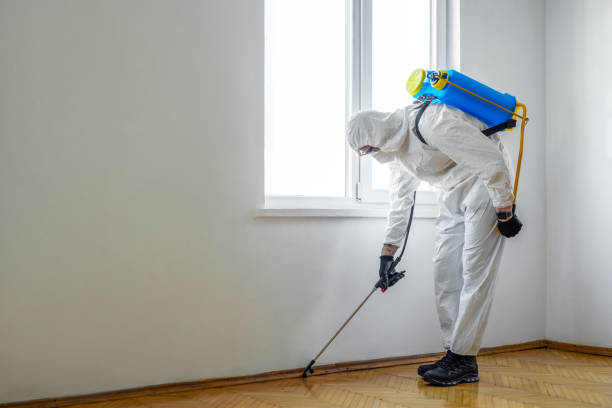 Best Best Pest Control Companies  in Bentonville, AR
