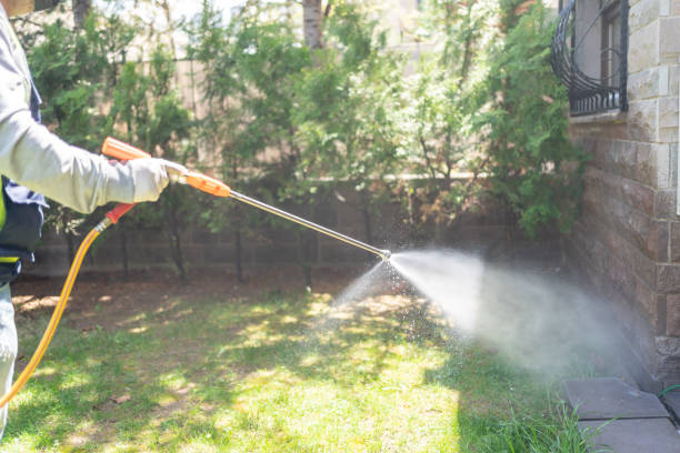 Best Residential Pest Control  in Bentonville, AR