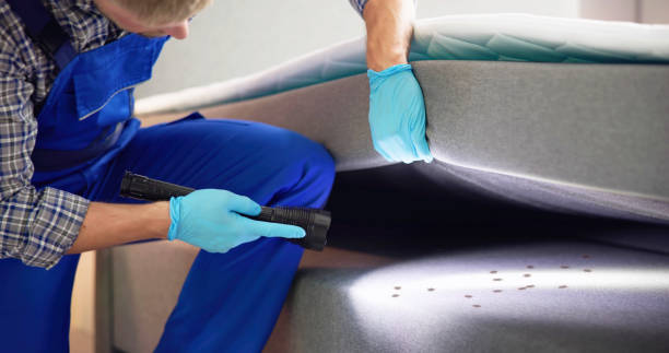 Best Pest Removal Services  in Bentonville, AR