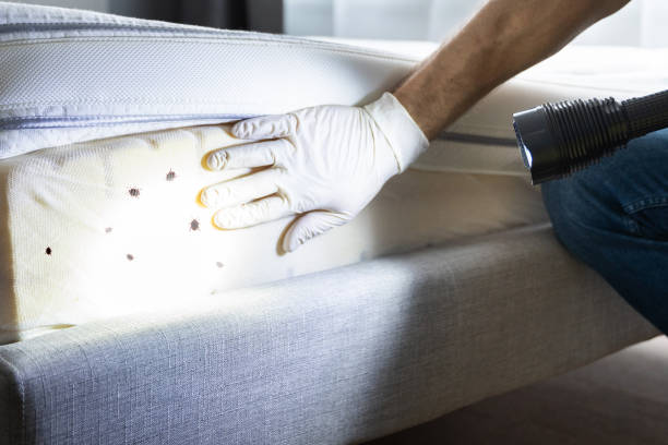 Best Best Pest Control Companies  in Bentonville, AR